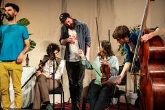 Musicians of the Greater Spotted Ceilidh Band at the Ceilidh Collective's fundraiser for Medical Aid for Palestinians