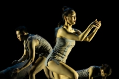 The UK premiere of the Korean National Dance Company's Jungle'