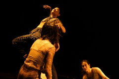 The UK premiere of the Korean National Dance Company's Jungle'