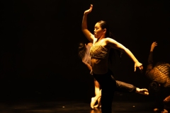 The UK premiere of the Korean National Dance Company\'s Jungle\'